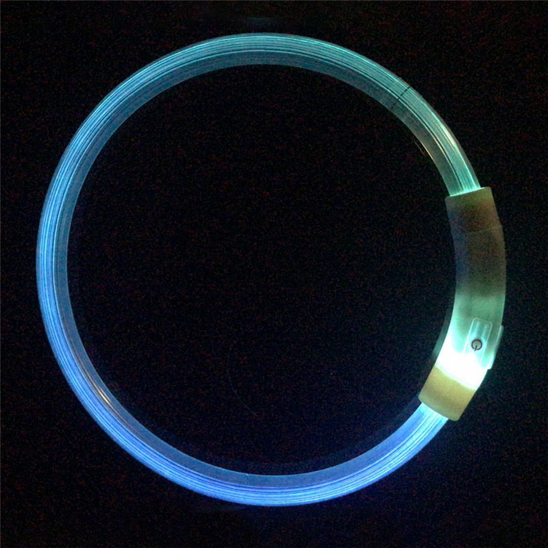 Collier de chien lumineux rechargeable et ajustable