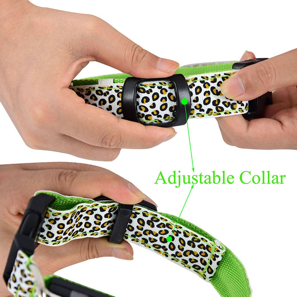 Collier lumineux LED imprimé léopard