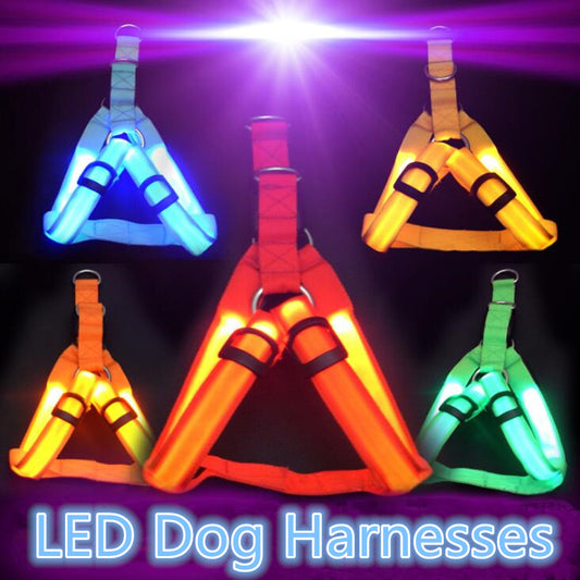 Harnais LED
