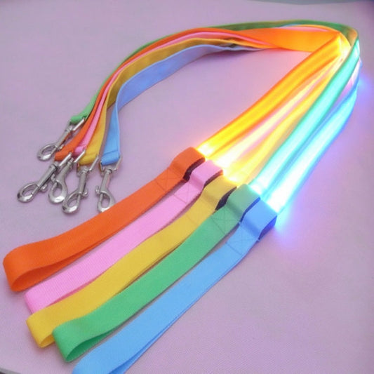 Laisse lumineuse