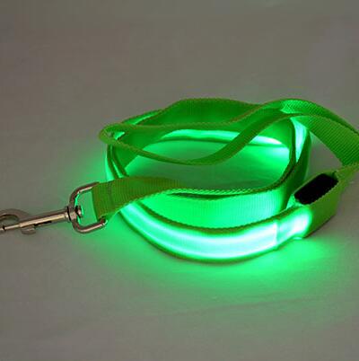 Laisse lumineuse