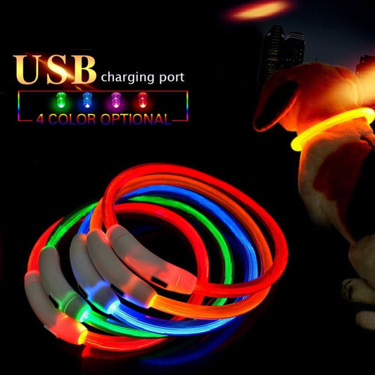 Collier à LED rechargable