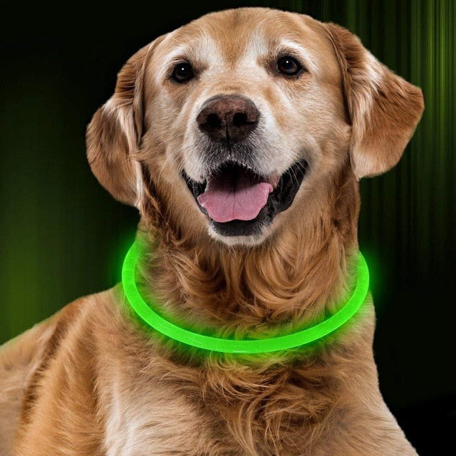 Collier à LED rechargable
