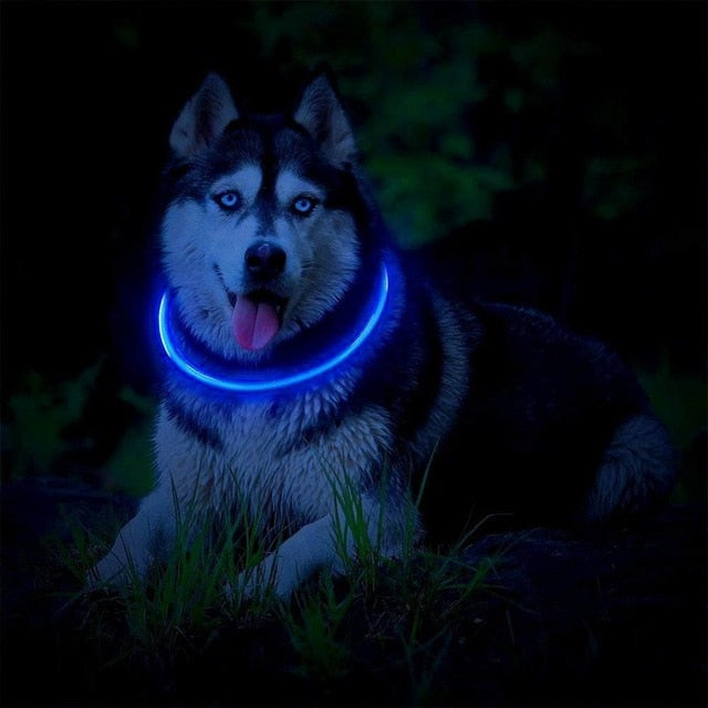 Collier à LED rechargable