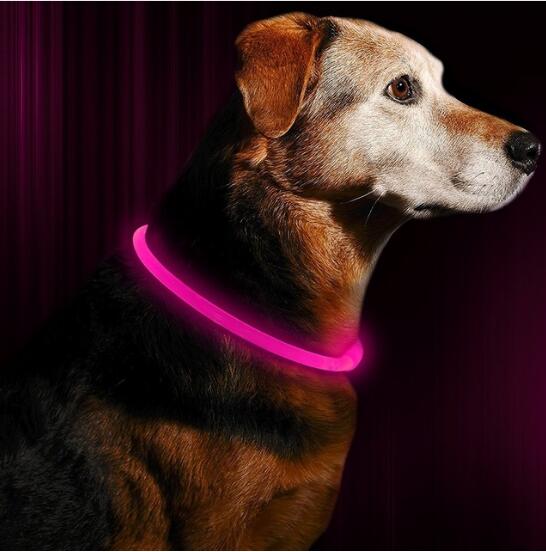 Collier à LED rechargable