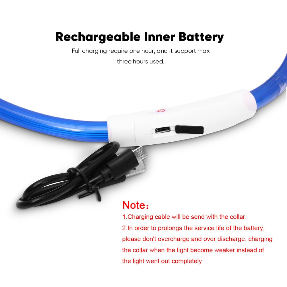 Collier de chien lumineux rechargeable et ajustable