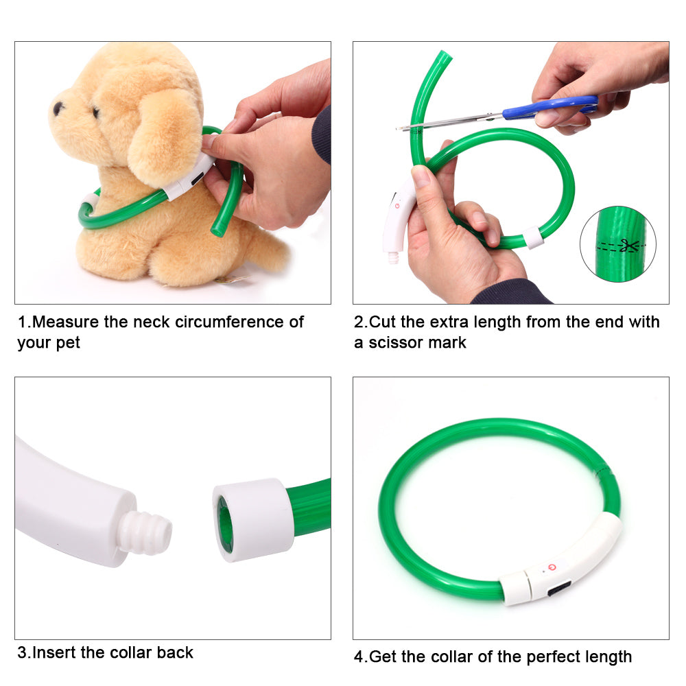 Collier de chien lumineux rechargeable et ajustable
