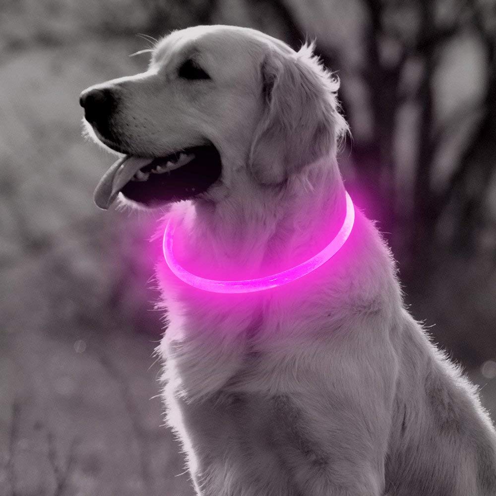 Collier à LED rechargable