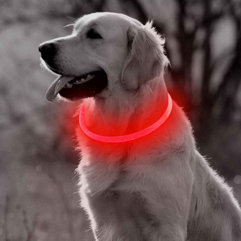 Collier à LED rechargable