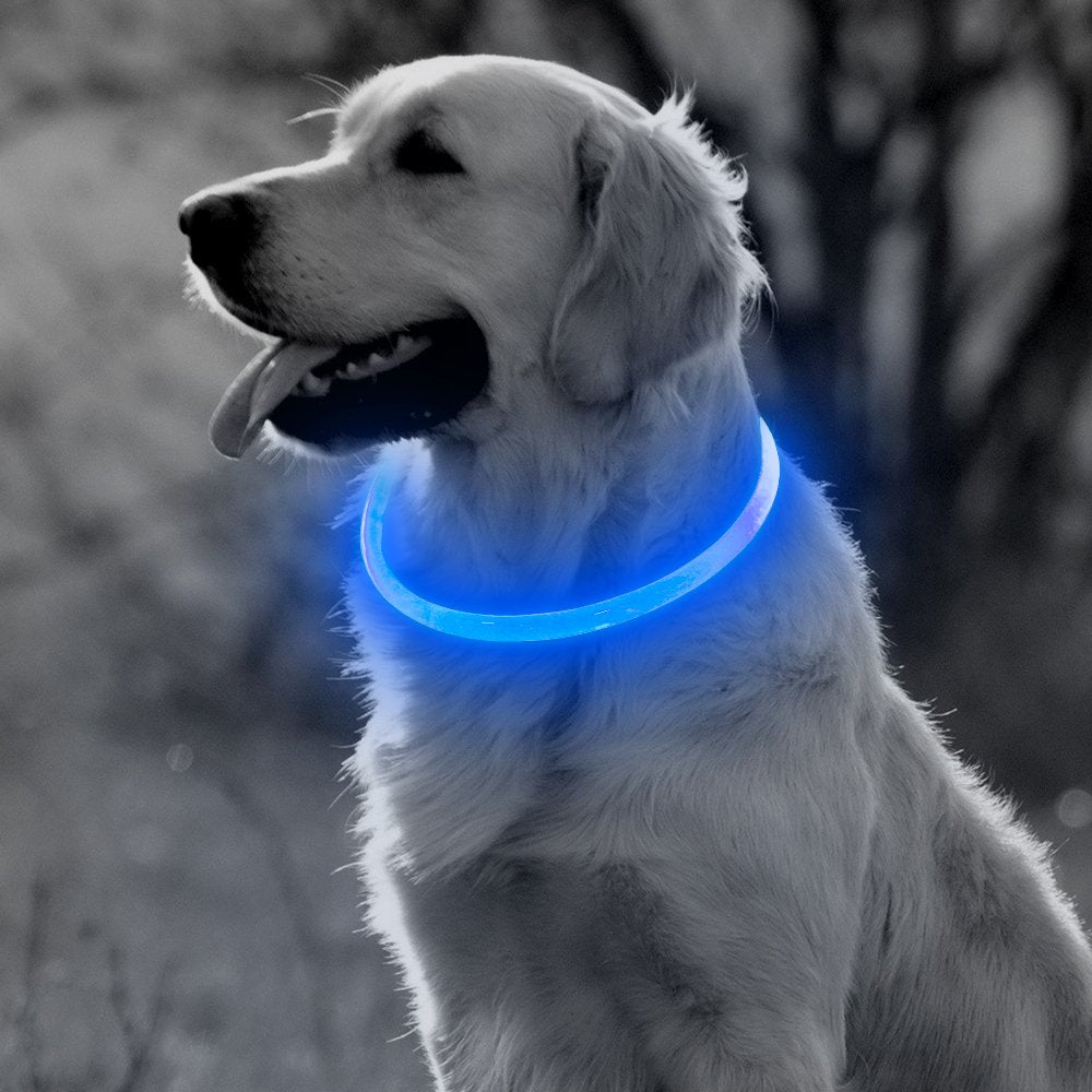 Collier à LED rechargable