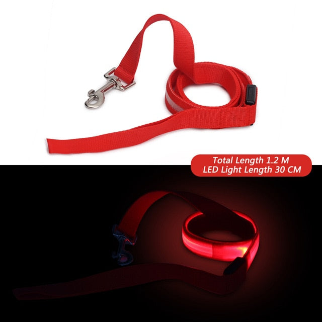 Laisse lumineuse