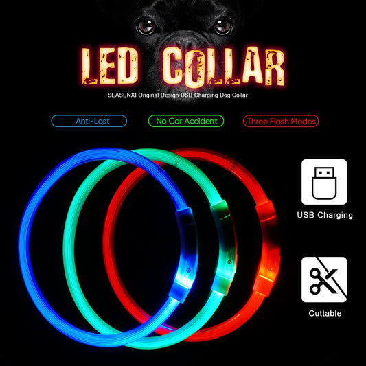 Collier de chien lumineux rechargeable et ajustable