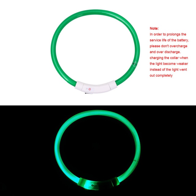 Collier de chien lumineux rechargeable et ajustable