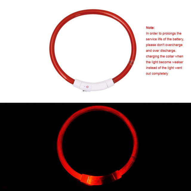 Collier de chien lumineux rechargeable et ajustable