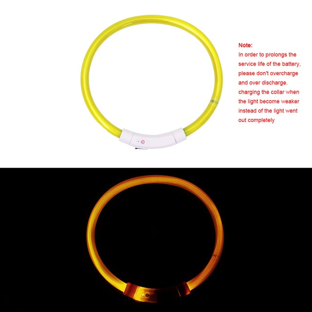 Collier de chien lumineux rechargeable et ajustable