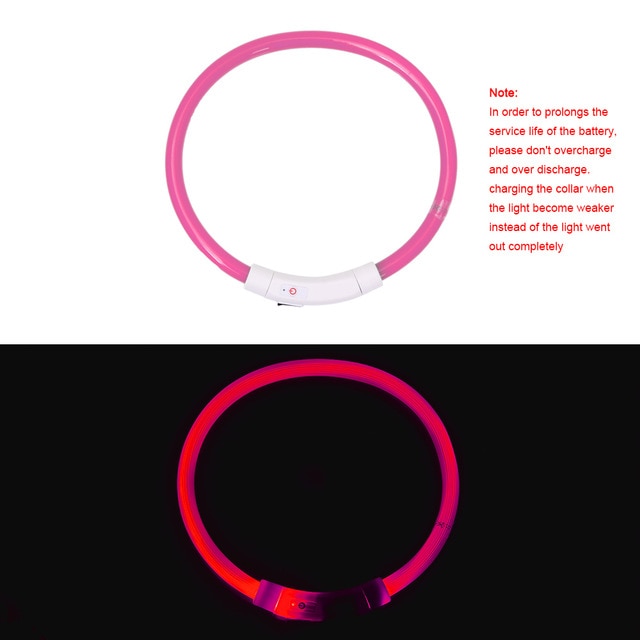 Collier de chien lumineux rechargeable et ajustable
