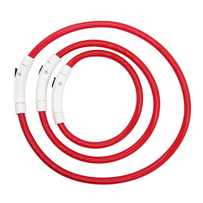 Collier LED rechargeable