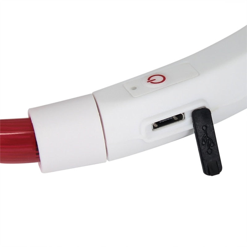 Collier LED rechargeable