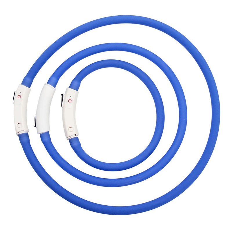 Collier LED rechargeable