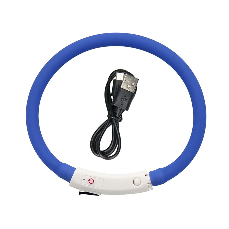 Collier LED rechargeable