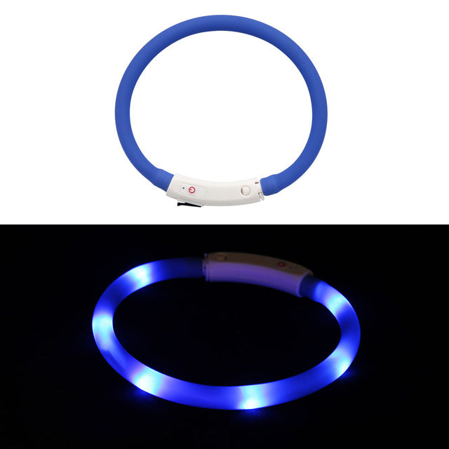 Collier LED rechargeable