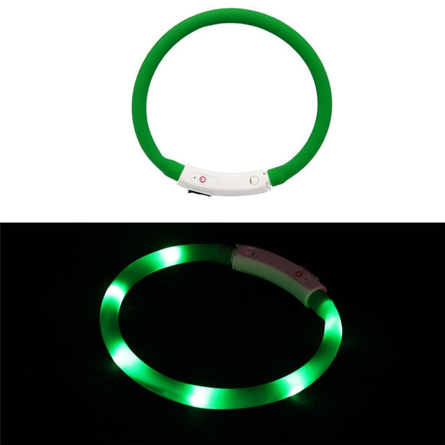 Collier LED rechargeable