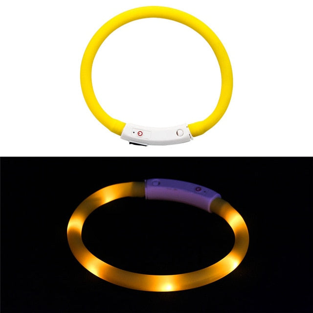 Collier LED rechargeable