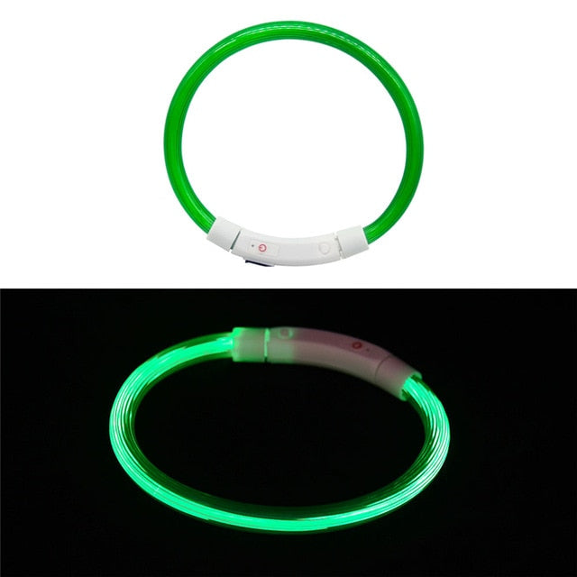Collier LED rechargeable