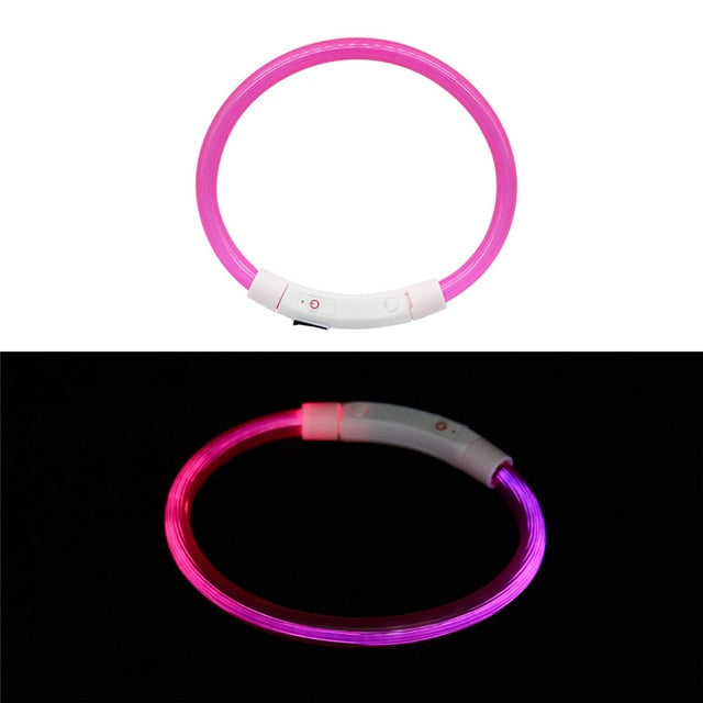 Collier LED rechargeable