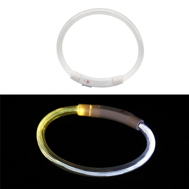 Collier LED rechargeable