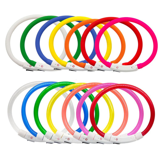 Collier lumineux pour chien