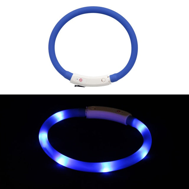 Collier lumineux pour chien