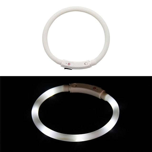 Collier lumineux pour chien