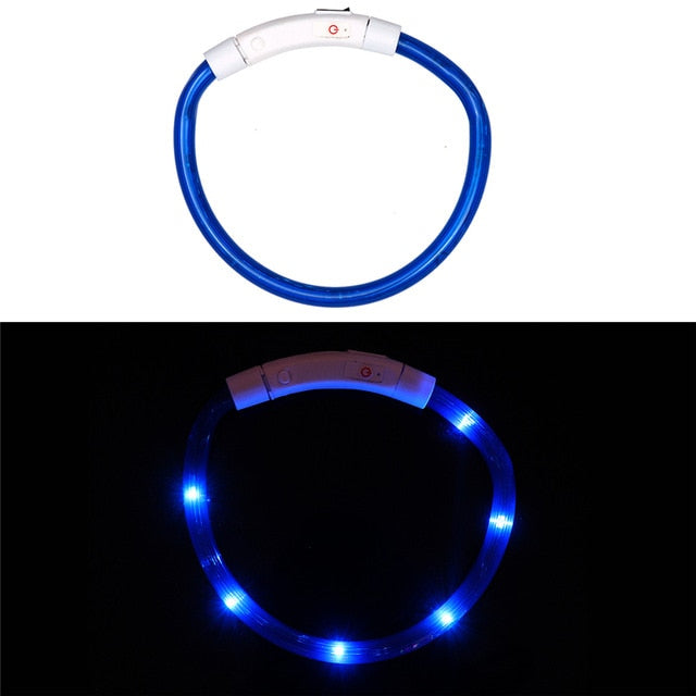 Collier LED rechargeable