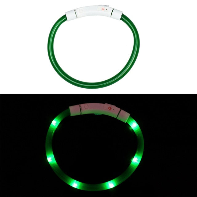 Collier LED rechargeable
