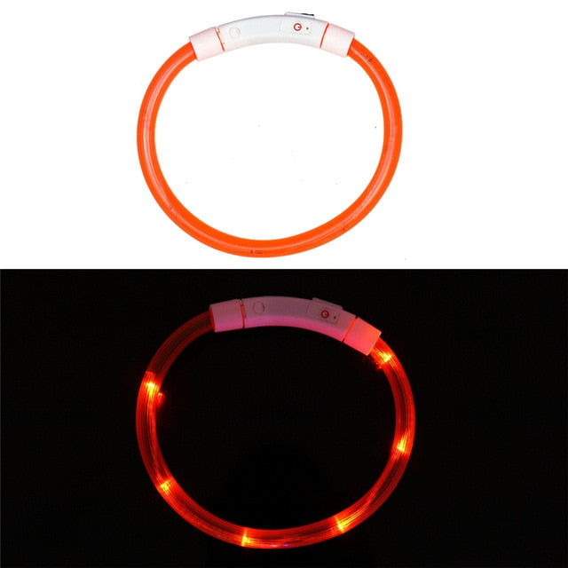 Collier LED rechargeable
