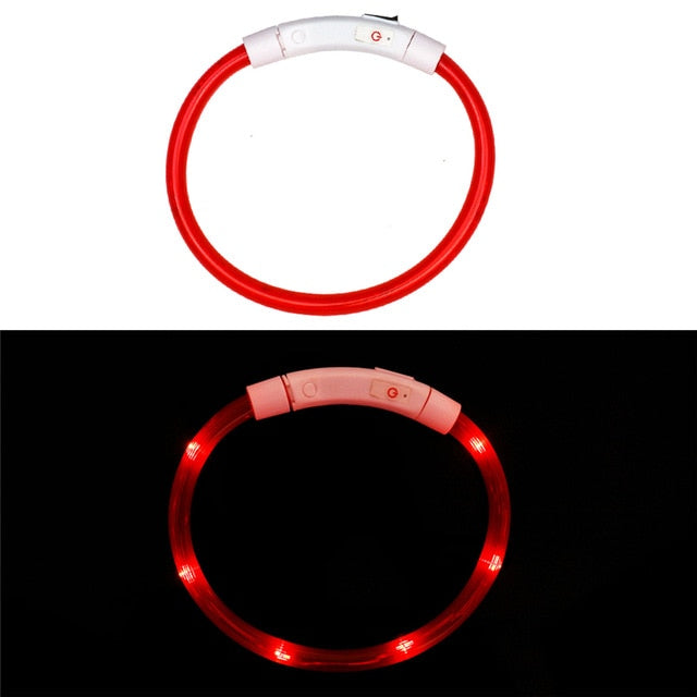 Collier LED rechargeable