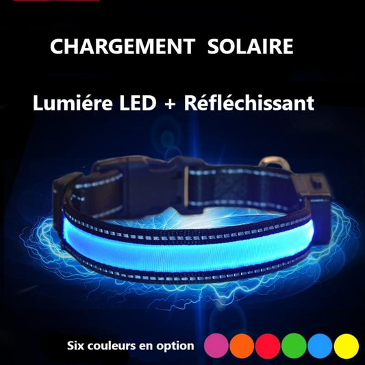 Collier lumineux LED rechargement solaire ou USB